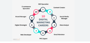 Career Opportunities in Digital Marketing like seo executive, social media manager, content marketer